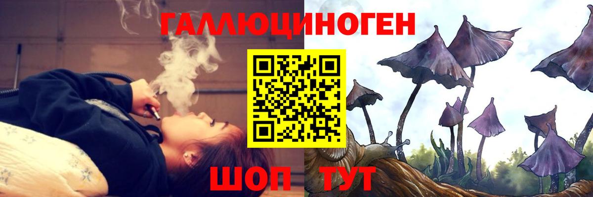 Люберцы  Галлюциногенные грибы Cubensis  Вход с VPN 
